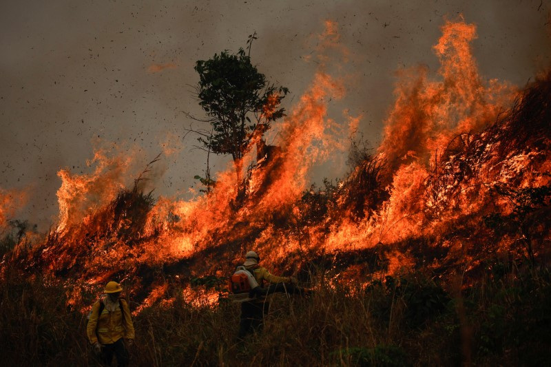 Brazil battles biggest forest fires in decades